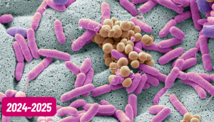 MicrobiotaHumana