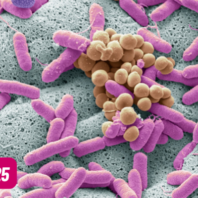 MicrobiotaHumana