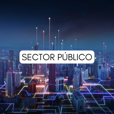 Sector Publico