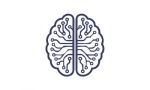 Inteligencia Computacional en Biomedicina